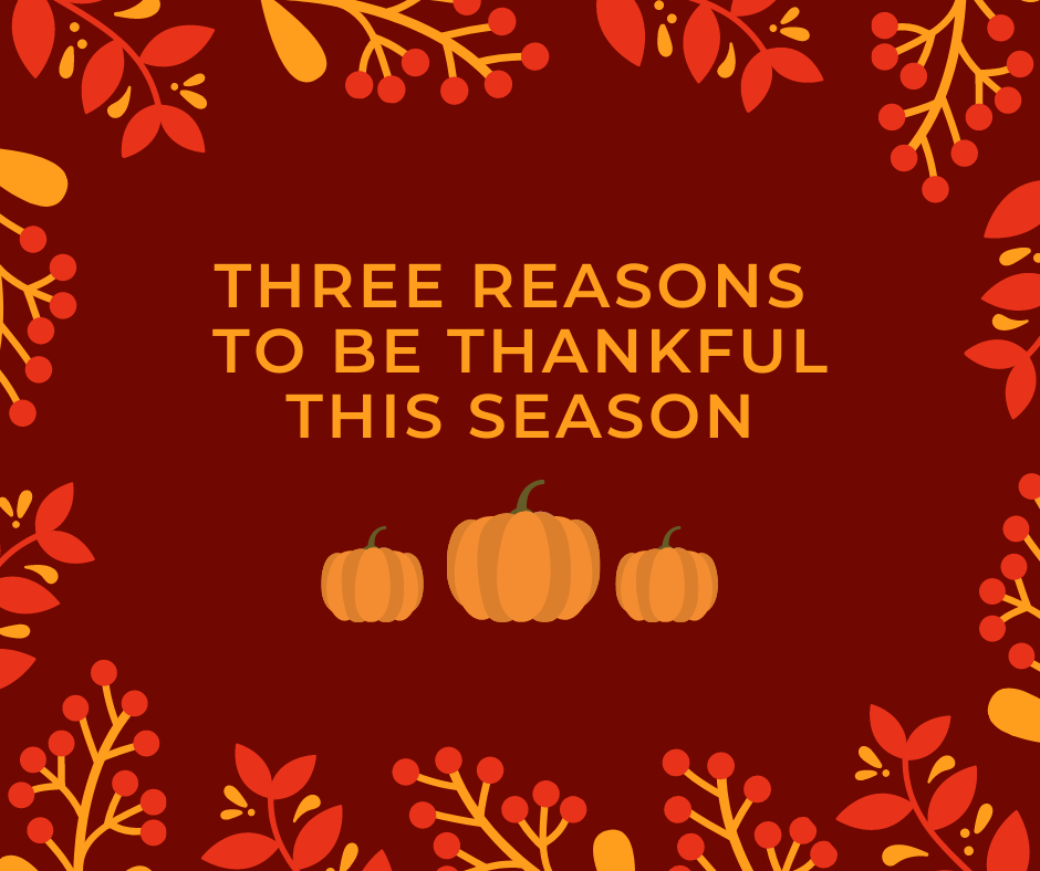 Three Reasons to be Thankful This Season
